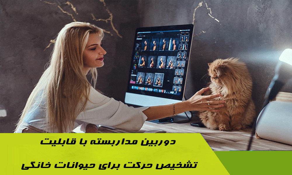 دوربین مداربسته با قابلیت تشخیص حرکت برای حیوانات خانگی